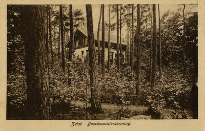 16275 Gezicht op de voor- en rechtergevel van de boswachterswoning met omringende naaldbomen in het Zeister Bosch te Zeist.